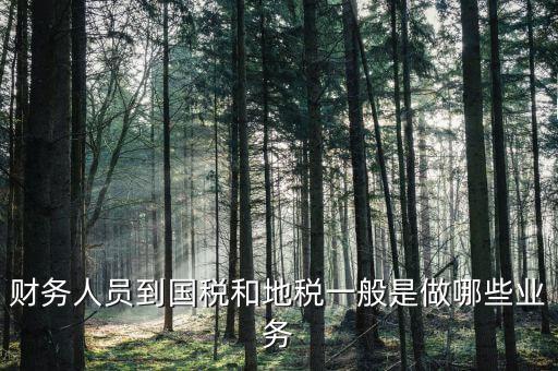 國(guó)稅地稅有什么工作，地稅工作人員有哪些職務(wù)