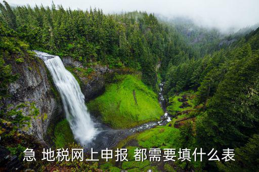 稅務(wù)申報(bào)表用什么填置，怎么填寫稅務(wù)申請(qǐng)表