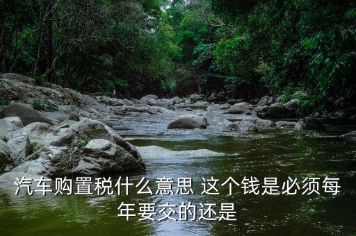 車購(gòu)稅 是什么意思，汽車購(gòu)置稅什么意思 這個(gè)錢是必須每年要交的還是