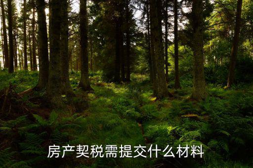 商品房交契稅需要什么材料，買房契稅何時(shí)交需要提供哪些材料