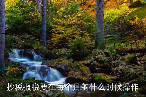 稅控盤什么時候抄報，抄稅報稅要在每個月的什么時候操作