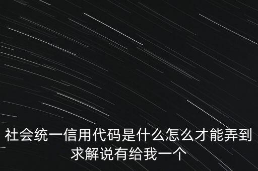 統(tǒng)一社會信用代碼指什么意思，深圳碼統(tǒng)一社會信用代碼是什么