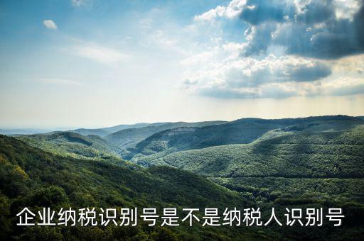 公司納稅識(shí)別號(hào)是什么，納稅人識(shí)別號(hào)是什么