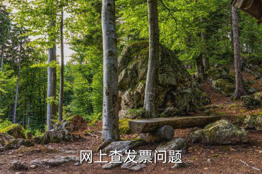 查發(fā)票流向什么意思，網(wǎng)上查發(fā)票問(wèn)題