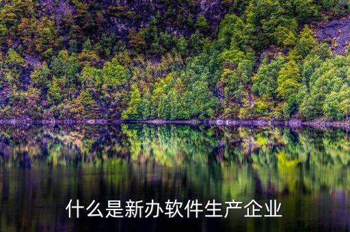 什么叫新辦企業(yè)，何為新辦企業(yè)的在正式經(jīng)營開始日