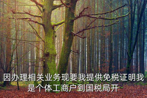 因辦理相關業(yè)務現要我提供免稅證明我是個體工商戶到國稅局開