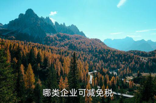 什么樣的企業(yè)免增值稅，哪些企業(yè)免征增值稅