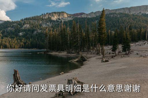 什么是個(gè)稅明細(xì)，個(gè)稅是什么是干嘛的詳細(xì)點(diǎn)哈