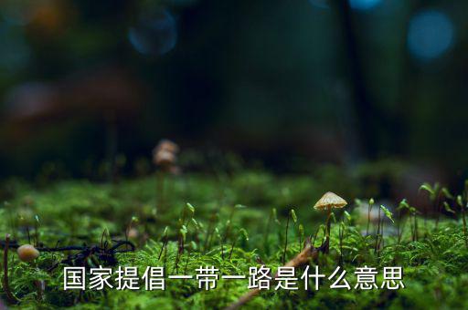 國稅一帶一路什么意思，一帶一路指什么意思