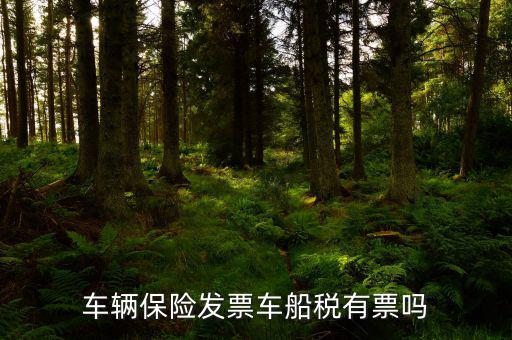 車船稅有什么票，車船稅交完是否有票