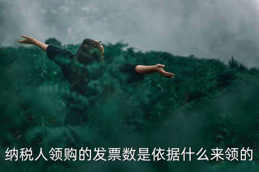 為什么領(lǐng)票人是納稅人，發(fā)票領(lǐng)購簿上的章子與納稅人名稱不一樣是怎么回事