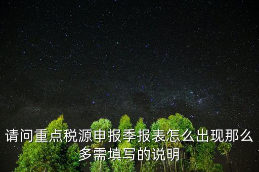 重點(diǎn)稅源申報(bào)要填什么，重點(diǎn)稅源申報(bào)表怎樣填
