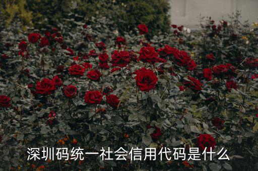 統(tǒng)一社會信用代碼指什么影響，深圳碼統(tǒng)一社會信用代碼是什么