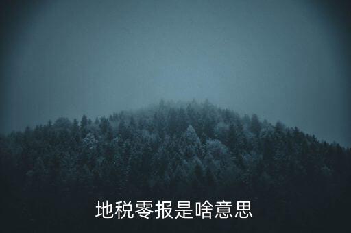 陜西什么是地稅0申報，陜西地稅0申報怎么報