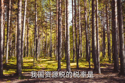 資源稅稅率是什么稅率，資源稅的計稅依據(jù)是什么稅率是多少
