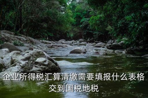 匯算清繳填寫什么表格，請教關于企業(yè)所得稅匯算清繳中需要填寫的表格的一些問題