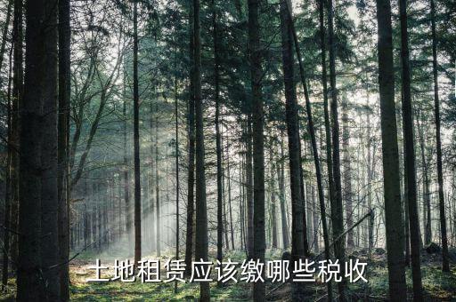單獨出租土地交什么稅，個人租用農民土地交什么稅