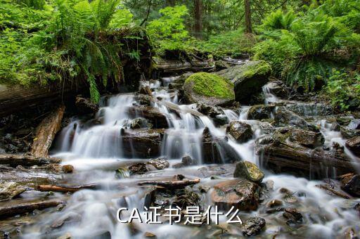 ca證書驅(qū)動是什么意思，我電腦上安裝了其他電子證書的驅(qū)動還能使用中國移動的CA證書驅(qū)