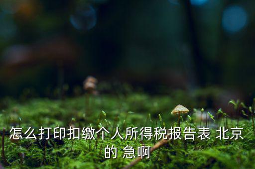 北京打印個稅需要什么資料，怎么打印扣繳個人所得稅報(bào)告表 北京的 急啊