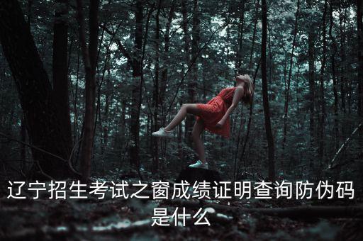 成績證明查詢的防偽碼是什么，遼寧成人高考成績查詢的防偽碼是多少