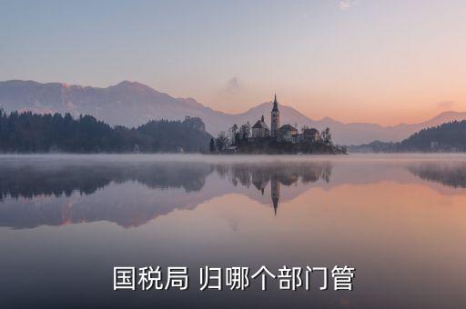 國稅直屬局管什么，國稅局 歸哪個(gè)部門管
