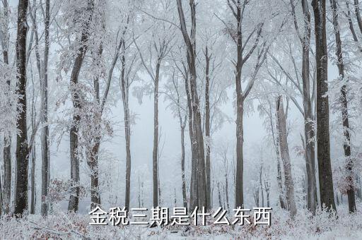 金稅三期雙軌是什么意思，金稅三期是什么意思