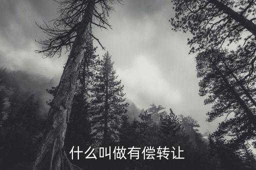 有償轉(zhuǎn)移安置什么意思，有償轉(zhuǎn)發(fā)什么意思