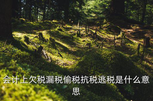 欠繳稅額是什么意思，增值稅申報(bào)表第26欄實(shí)收出口開(kāi)具專用繳款書(shū)退稅額指的是什么
