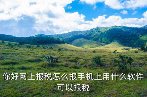 國稅保稅需要下載什么，你好網(wǎng)上報稅怎么報手機上用什么軟件可以報稅