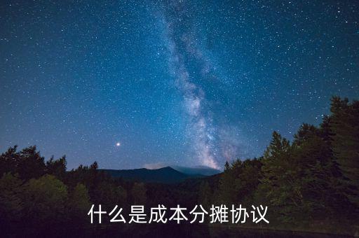 什么是成本分攤協(xié)議