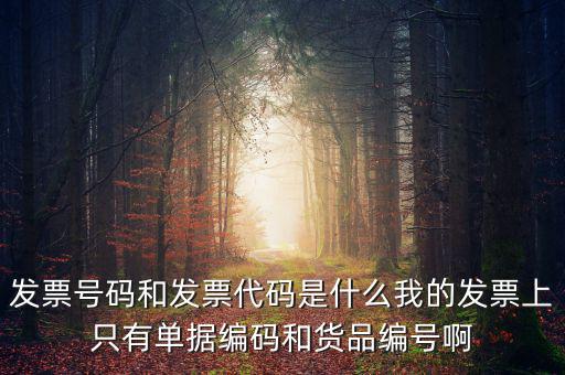 發(fā)票代碼指什么地方，增值稅普通發(fā)票的12位發(fā)票代碼在什么位置