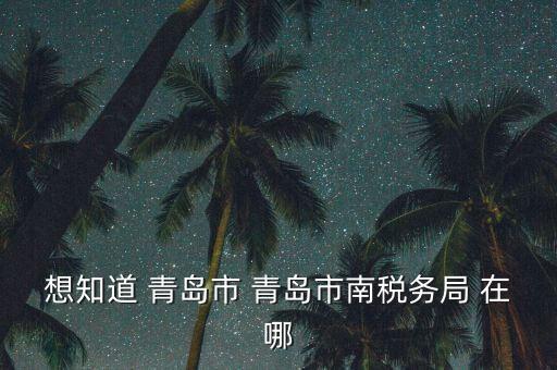 青島稅務(wù)局在什么地方，青島國稅局在什么位置在什么路上