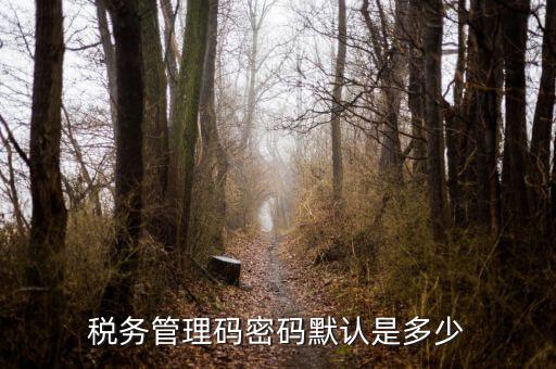 湖北國稅盤原始密碼是什么意思，湖北地稅網(wǎng)絡(luò)發(fā)票登陸密碼是什么急急急