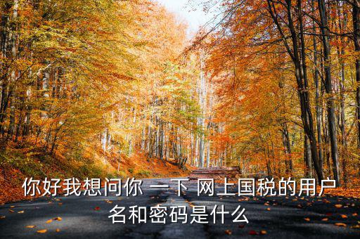 國稅登陸名和密碼是什么意思，國稅第一次網(wǎng)上申報(bào)的登陸密碼是什么