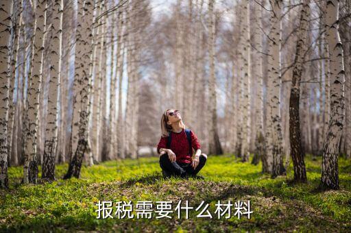 報(bào)稅需要什么材料