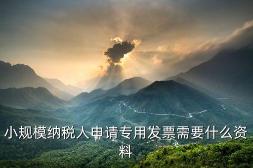小規(guī)模申請專票需要核實什么，小規(guī)模納稅人申請專用發(fā)票需要什么資料