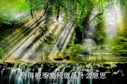 預繳所得稅是什么意思，新辦企業(yè)預繳所得稅是什么意思