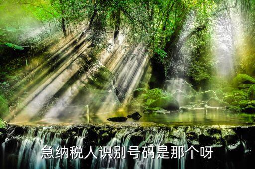 納稅人識(shí)別卡是什么，一般納稅人的IC卡的型號(hào)中JK100和JK300有什么區(qū)別
