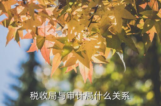 審計單位和稅務局有什么區(qū)別，審計同稅審有什么分別