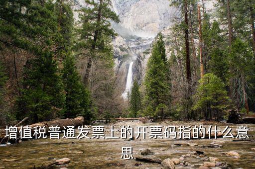 增值票的開票碼是什么意思，增值稅普通發(fā)票上的開票碼指的什么意思