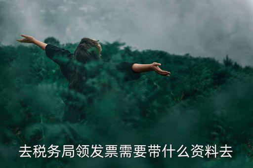 領(lǐng)電子發(fā)票需要帶什么資料，去稅務(wù)局領(lǐng)發(fā)票需要帶什么資料去