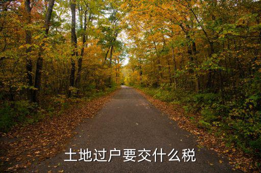 土地買賣交什么稅，土地買賣應(yīng)交的稅項
