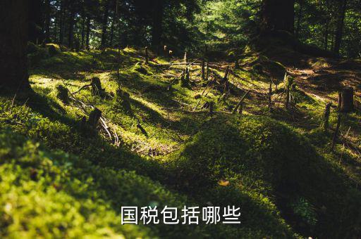國(guó)家稅務(wù)局包括什么，國(guó)稅包括哪些