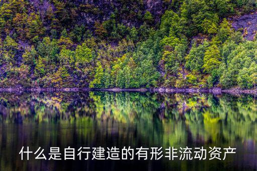 什么叫自建不動產(chǎn)，自建不動產(chǎn)不共擔(dān)風(fēng)險(xiǎn)的投資行為