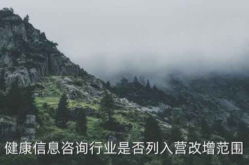 什么時候什么營改增的，營改增的會計范圍及會計處理