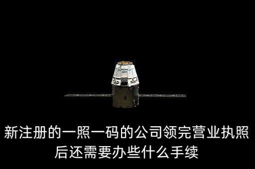 一照一碼后還需辦什么，網(wǎng)上申請一照一碼必須要經(jīng)辦人的U盾嗎