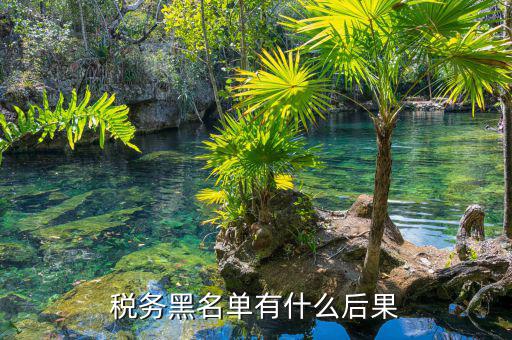 稅務黑名單有什么后果