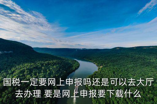 地稅進(jìn)國稅要下載什么，深圳國地稅想網(wǎng)上申報要下載什么東西嗎