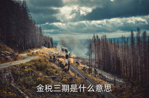 金稅三期包括什么意思，金稅三期是什么意思