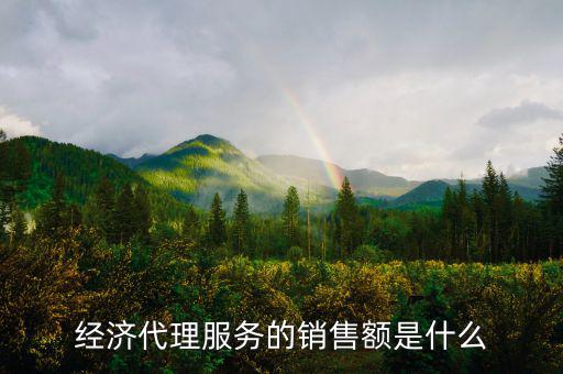 什么是經濟代理，請問什么叫經濟合同代理人